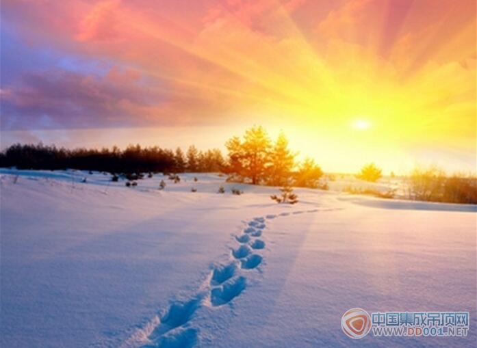 【加盟匯總】除了大雪還有陽(yáng)光，11月加盟意向比去年同期增長(zhǎng)162%