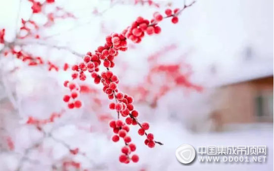 今日冬至，歐斯迪集成吊頂祝您健康快樂