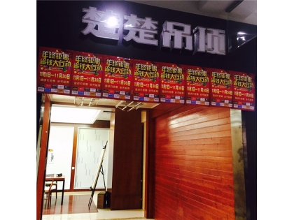 楚楚吊頂山東東明專賣(mài)店