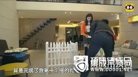 何猷君求婚奚夢瑤，浪漫都給你們，家裝交給鼎美