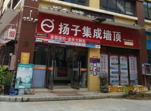 揚子集成墻頂廣西梧州專賣店 (292播放)