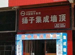 揚子集成吊頂江蘇鹽城專賣店 (257播放)