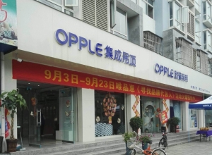 OPPLE集成吊頂陜西漢中專(zhuān)賣(mài)店