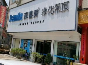 頂善美凈化吊頂廣西德保縣專賣店