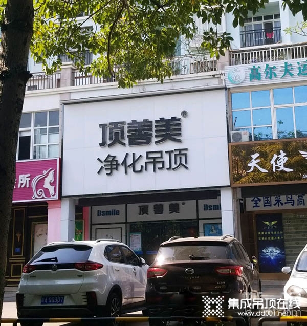 頂善美凈化吊頂廣西北海專賣店