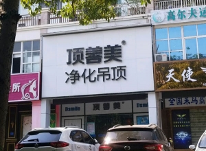 頂善美凈化吊頂廣西北海專賣店