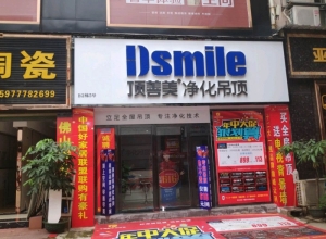 頂善美凈化吊頂廣西興寧專賣店