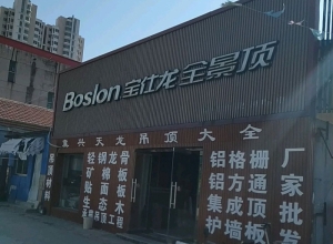 寶仕龍全景頂天津寶坻區(qū)專賣店