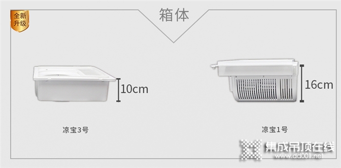 歐美涼寶1號全面升級，更名為涼寶3號啦，它就是你廚房里那顆最貼心的“菜”