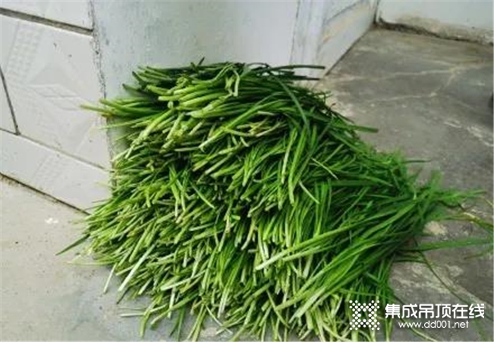 海創(chuàng)智能電動(dòng)晾衣架，輕松還家陽(yáng)光味！