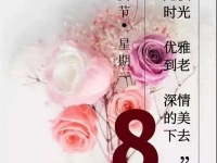 隱鋒芒，露光芒，美萊祝所有女神節(jié)日快樂！